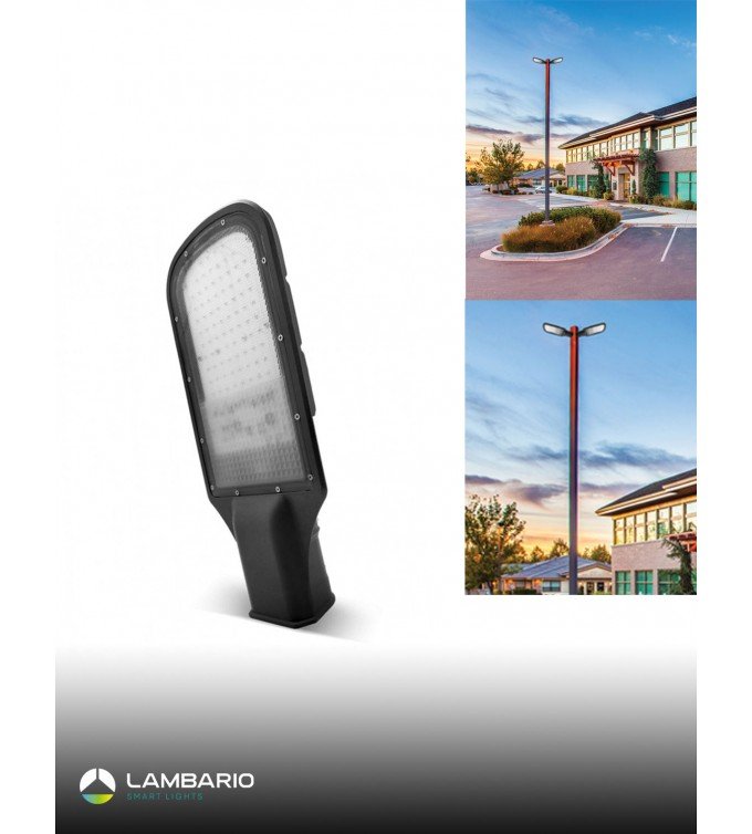Уличен рефлектор 100W Ilumina Lambario