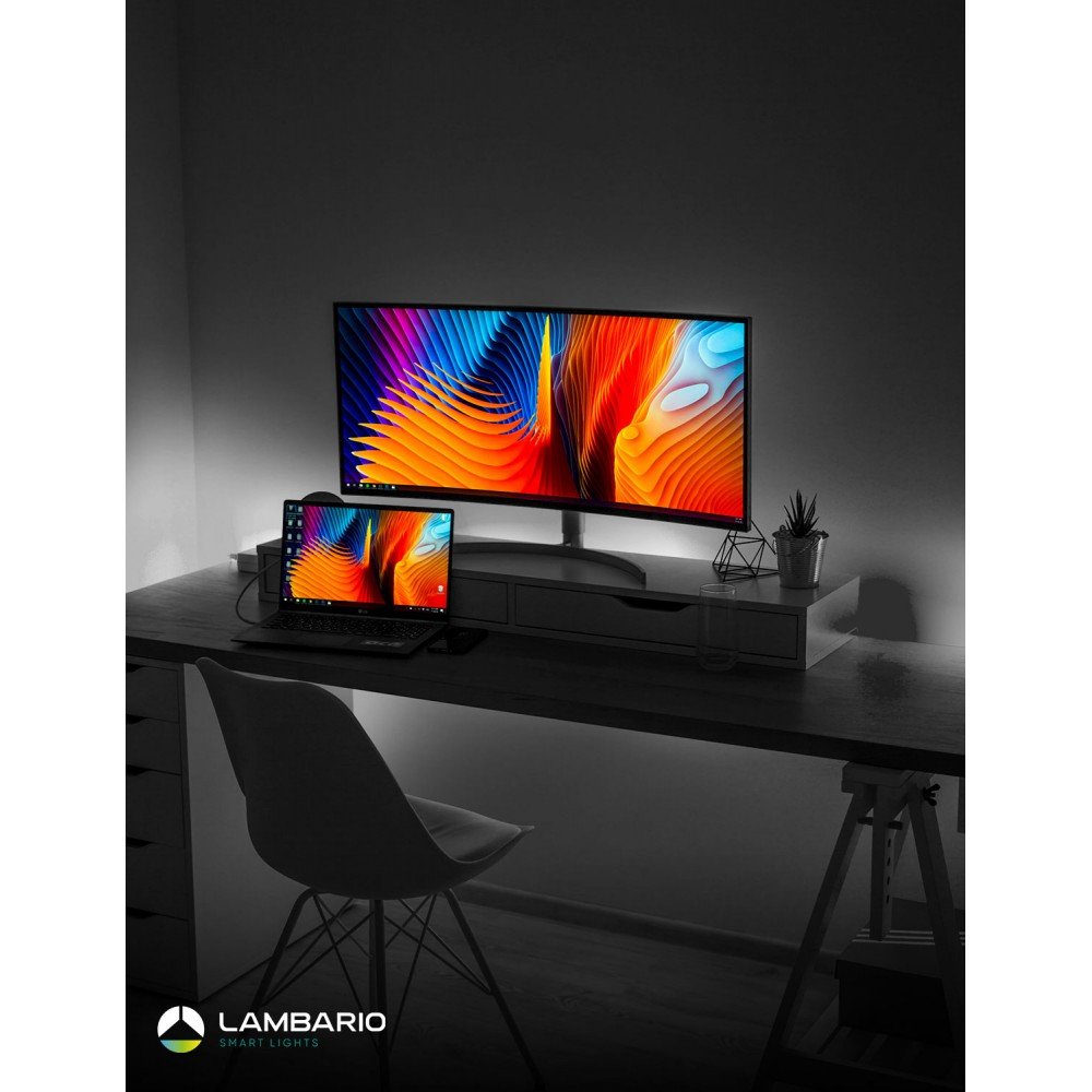 Лед лента 12V 4.8W 6400к 5m Lambario