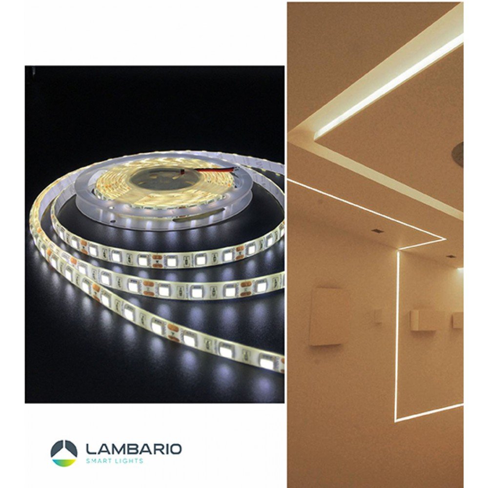 Лед лента 12V 14.4W 4200к 5m Lambario